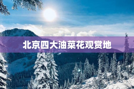 北京四大油菜花观赏地