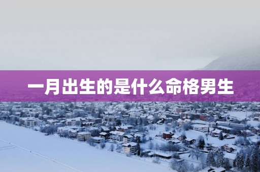 一月出生的是什么命格男生