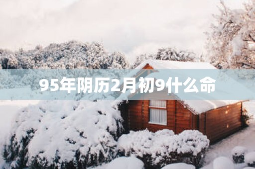 95年阴历2月初9什么命