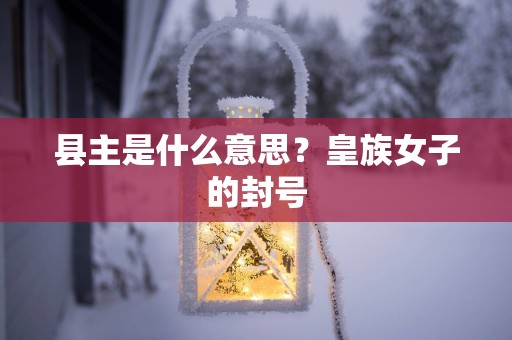 县主是什么意思？皇族女子的封号