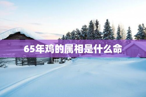 65年鸡的属相是什么命