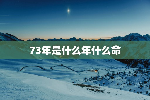 73年是什么年什么命