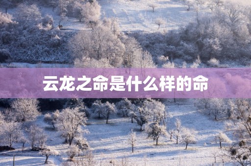 云龙之命是什么样的命