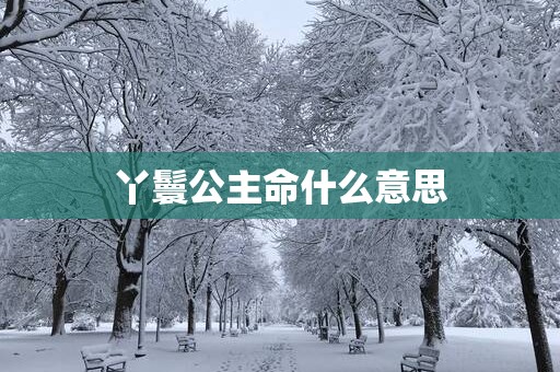 丫鬟公主命什么意思