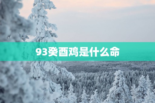 93癸酉鸡是什么命