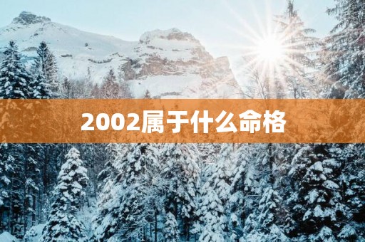 2002属于什么命格