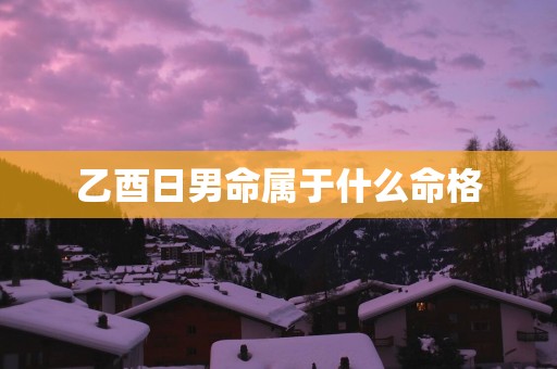 乙酉日男命属于什么命格