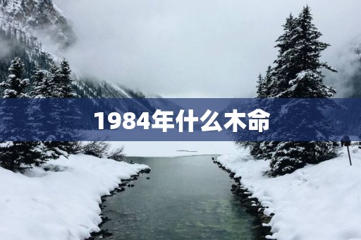 1984年什么木命