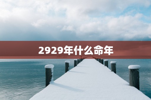 2929年什么命年