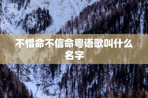 不惜命不信命粤语歌叫什么名字