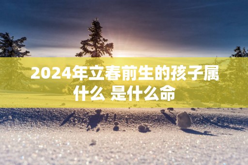 2025年立春前生的孩子属什么 是什么命