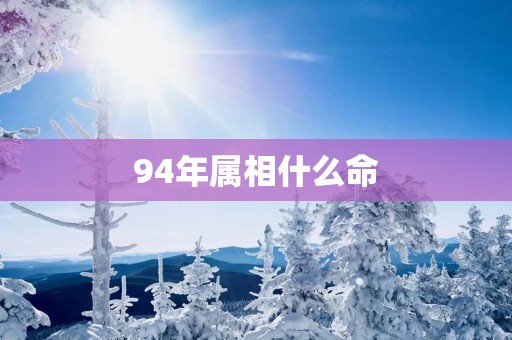 94年属相什么命
