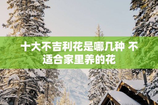 十大不吉利花是哪几种 不适合家里养的花