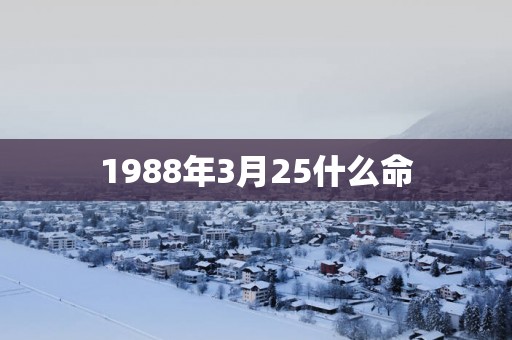 1988年3月25什么命