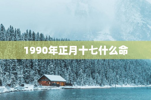 1990年正月十七什么命