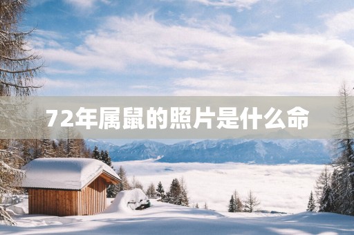 72年属鼠的照片是什么命