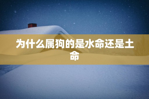 为什么属狗的是水命还是土命