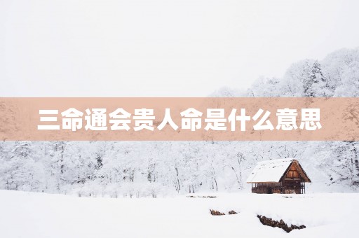 三命通会贵人命是什么意思