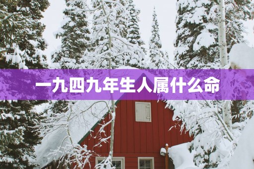 一九四九年生人属什么命