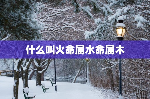 什么叫火命属水命属木