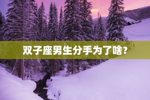 双子座男生分手为了啥？