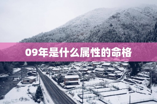 09年是什么属性的命格