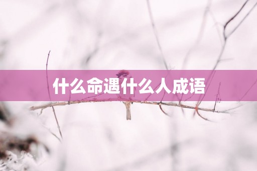 什么命遇什么人成语