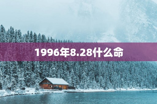 1996年8.28什么命