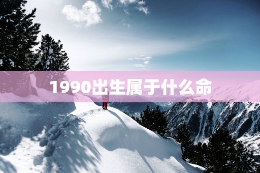 1990出生属于什么命