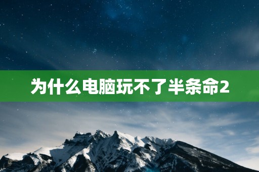 为什么电脑玩不了半条命2