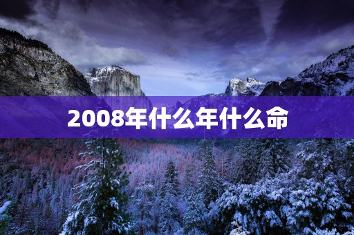 2008年什么年什么命