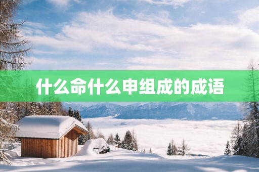 什么命什么申组成的成语