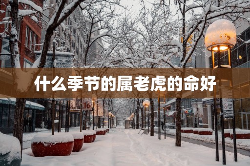 什么季节的属老虎的命好