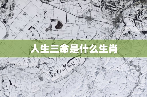 人生三命是什么生肖