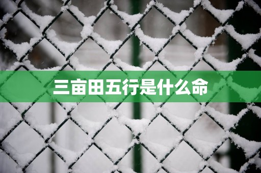 三亩田五行是什么命