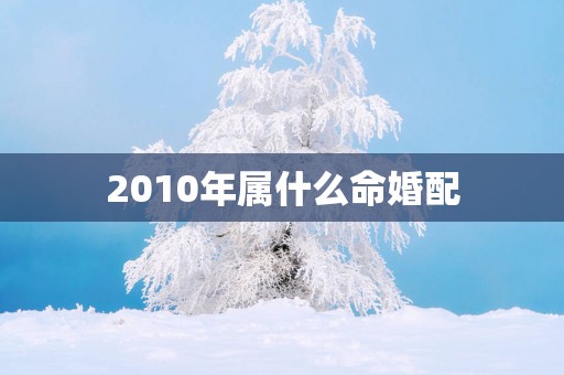 2010年属什么命婚配