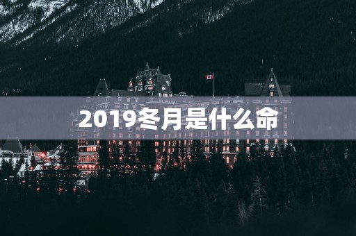 2019冬月是什么命