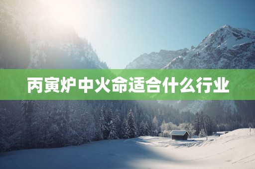丙寅炉中火命适合什么行业