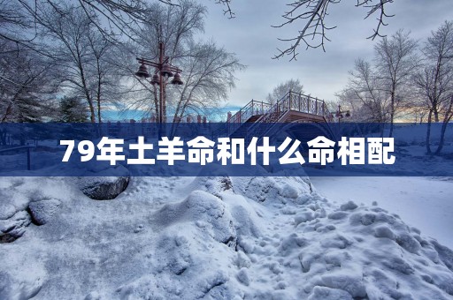 79年土羊命和什么命相配