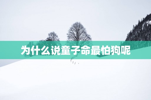 为什么说童子命最怕狗呢