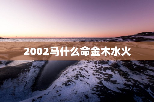 2002马什么命金木水火