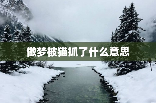 做梦被猫抓了什么意思