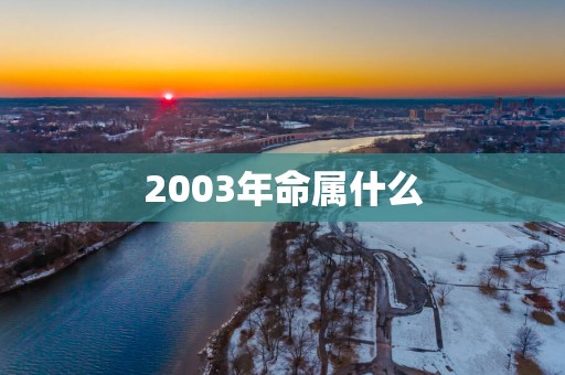 2003年命属什么