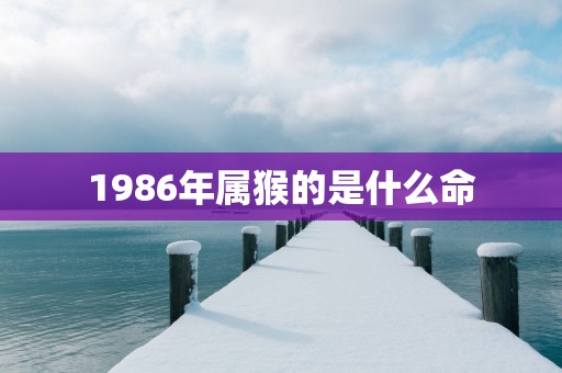 1986年属猴的是什么命