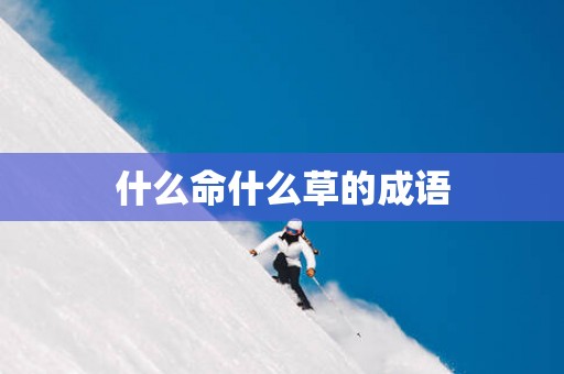 什么命什么草的成语
