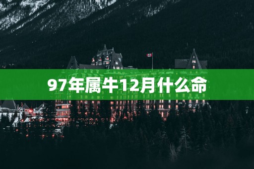 97年属牛12月什么命