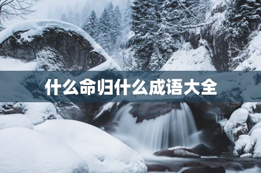 什么命归什么成语大全