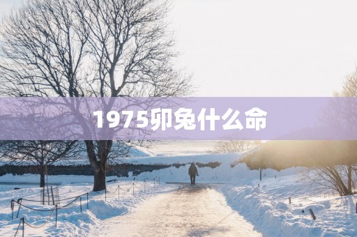 1975卯兔什么命