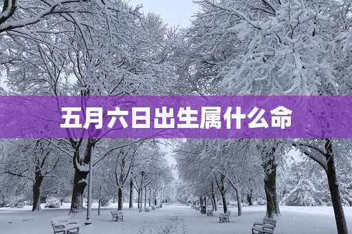 五月六日出生属什么命