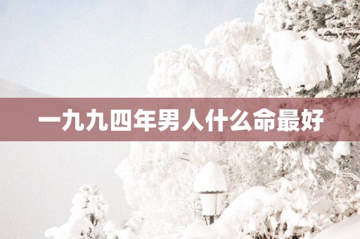 一九九四年男人什么命最好